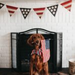Patriotic Gift Ideas - dog with american flag decor